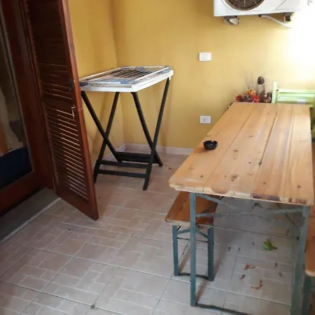 Airport-Port-Commercial Center-Veranda&Garden-60mq-Giallo *